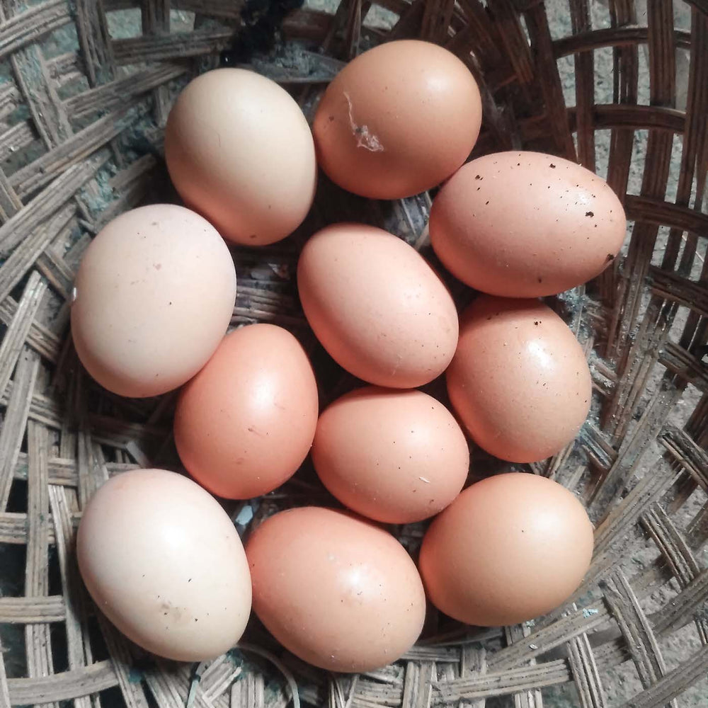 Organic Free-Range Eggs