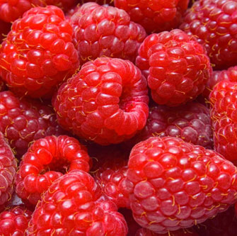 Raspberries - Certified Organic -Regehr Farms
